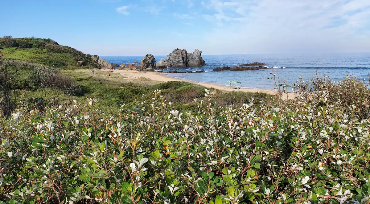 Camel Rock Beach