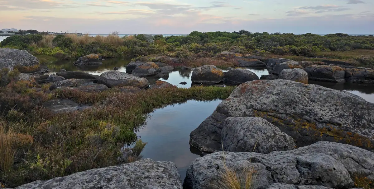 Jawbone Marine Sanctuary