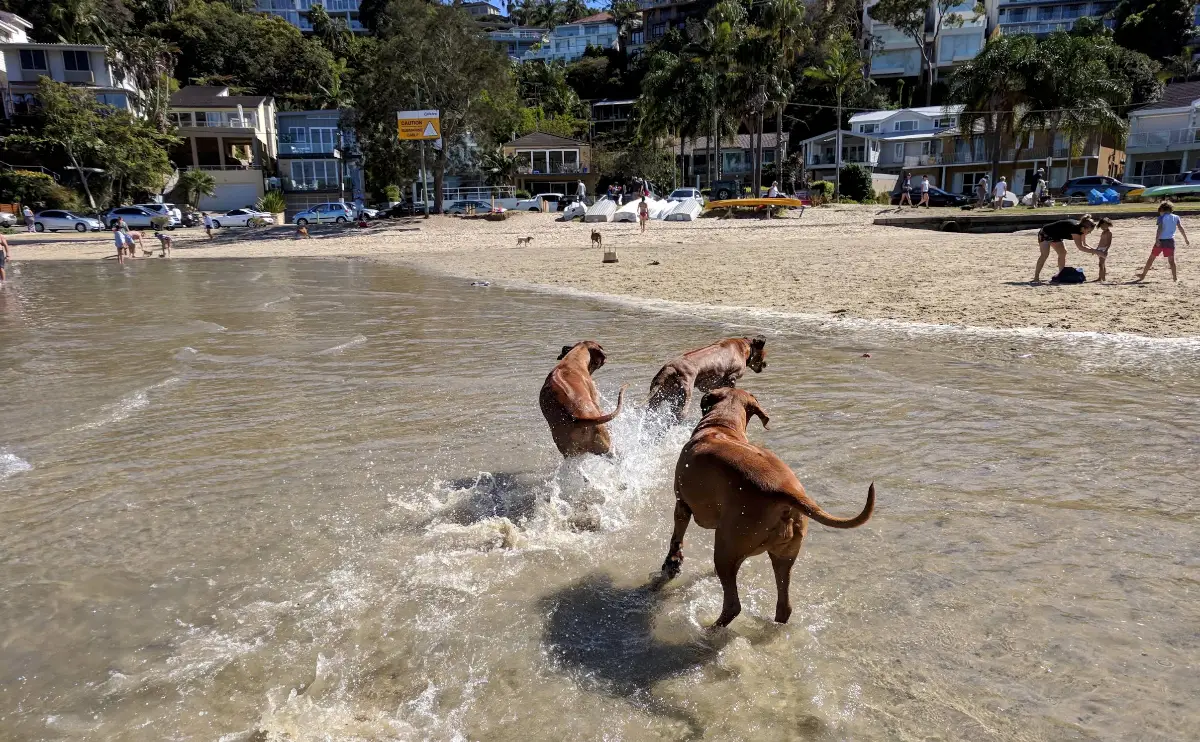 Sandy Bay