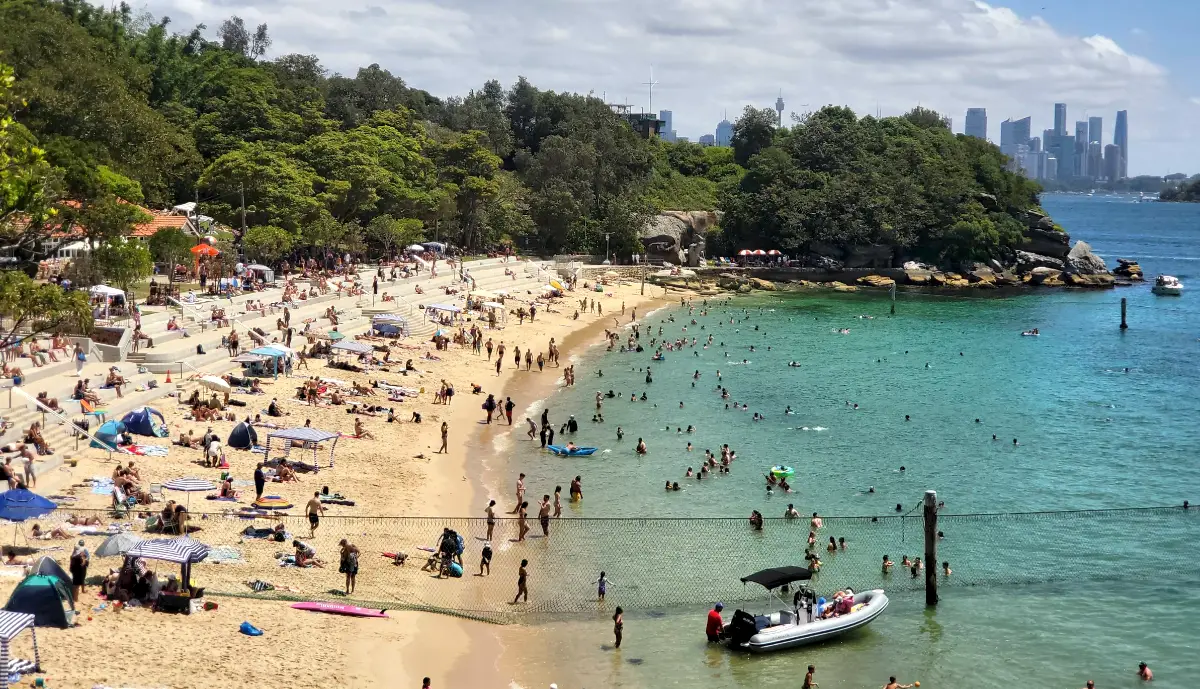 Shark Beach