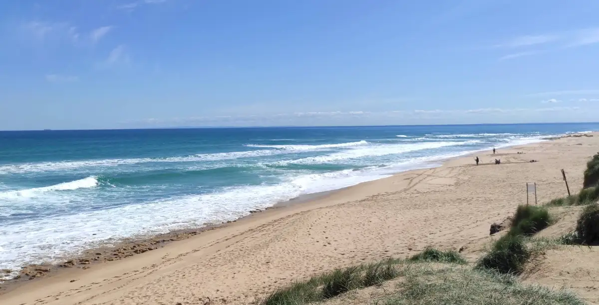 St Andrews Beach