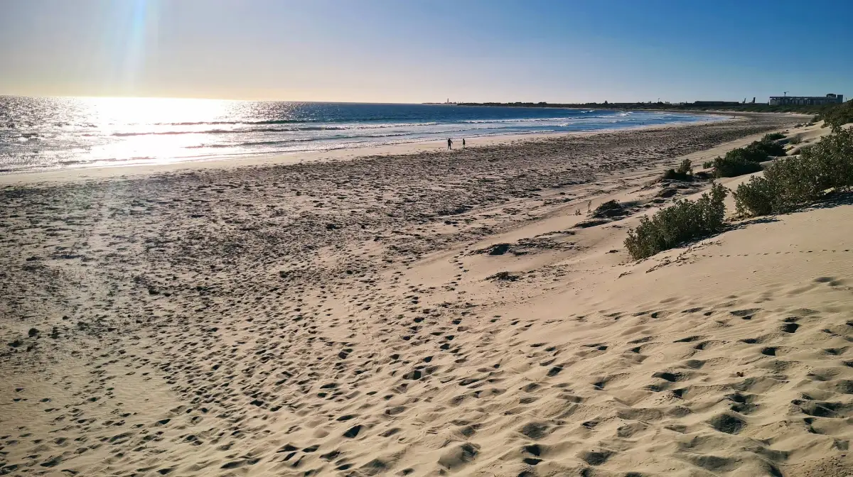 Tarcoola Beach